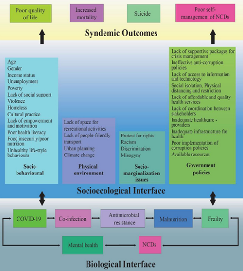 covid syndemic factors