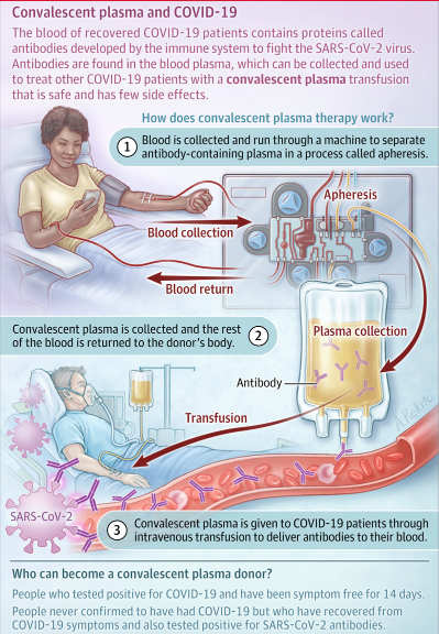 plasma convalescente