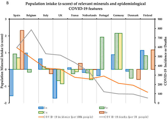sistema immunitario minerali paesi covid