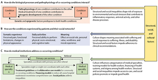 syndemic approach