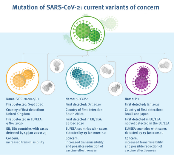 sars cov 2 variants concern ecdc infographic