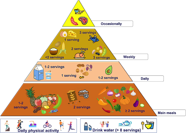 piramide alimentare america latina