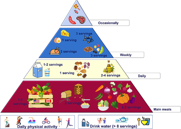 piramidi alimentare nord america