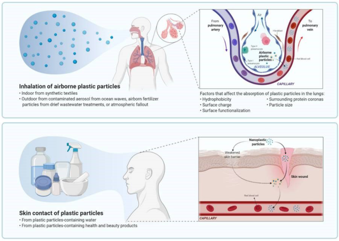 nanoparticelle inalazione contatto 