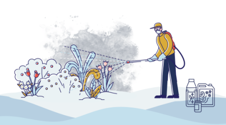 Immagine decorativa: Pesticidi, l'impatto sugli ecosistemi e gli effetti sulla salute in Europa