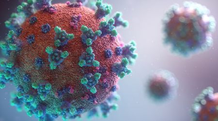 Immagine decorativa: Quanto sono gravi le infezioni causate dalla variante Omicron? Un articolo su Nature fa il punto della situazione