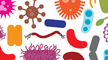 Immagine decorativa: Microbiota: alleato o nemico nella lotta contro Covid-19?