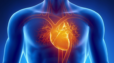 Immagine decorativa: Prevenzione primaria delle malattie cardiovascolari: quali sono le differenze tra i vari tipi di statine?