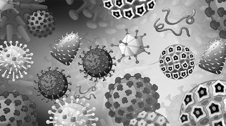 Immagine decorativa: Autismo, ansia, depressione, schizofrenia, anoressia, obesità, tumori, morbo di Parkinson e Alzheimer: come si modificano o influiscono microbiota e microbioma